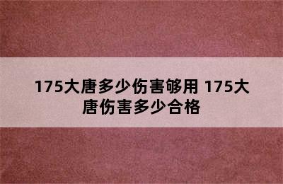 175大唐多少伤害够用 175大唐伤害多少合格